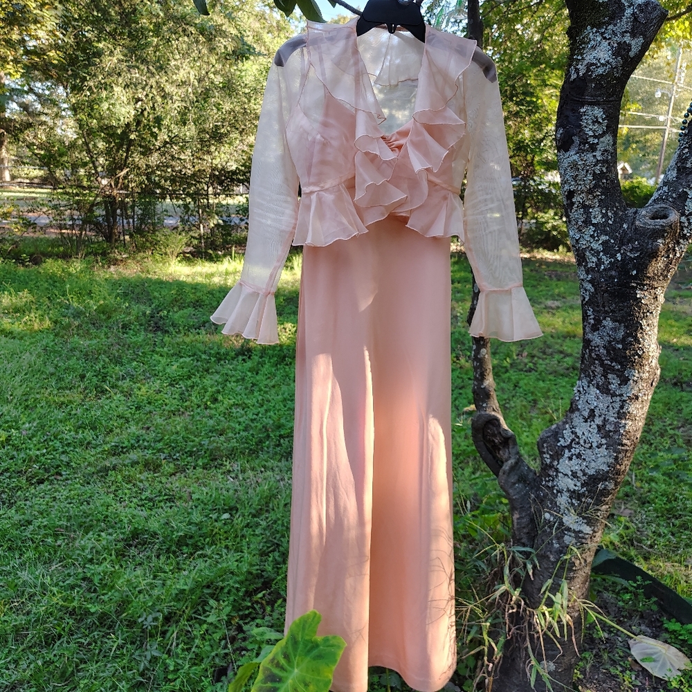 1970s Women's Peach!!! Dress & Sheer Long sleeve cover up